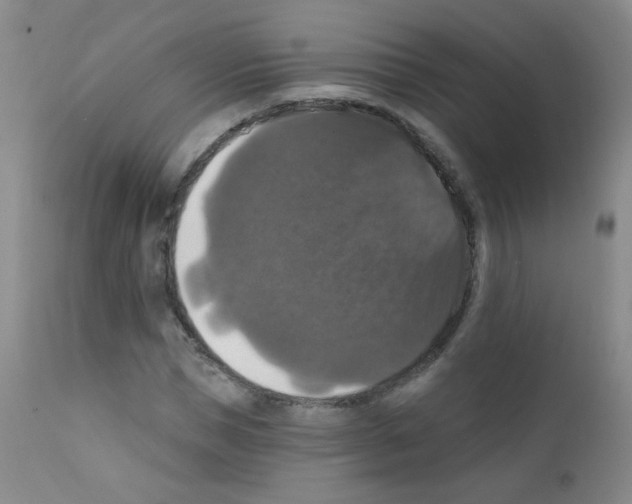 X0000111800921200909031226