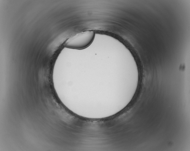 X0000111800922200909031226
