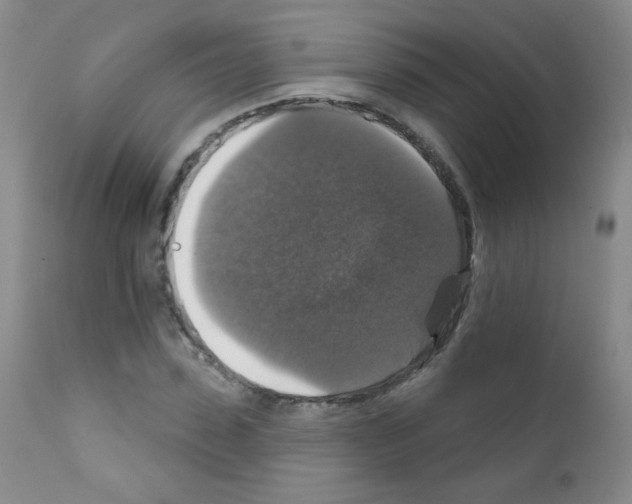 X0000111800923200909031226