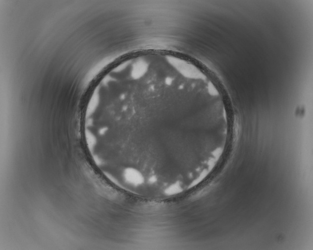 X0000111800925200909031226