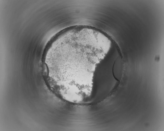 X0000111800928200909031226