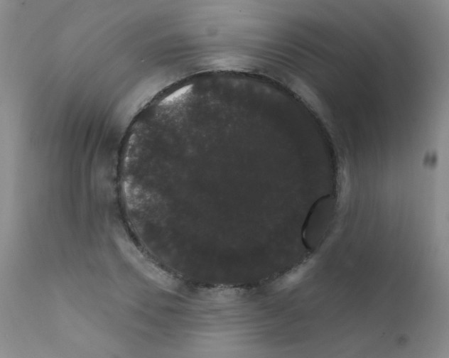 X0000111800930200909031226