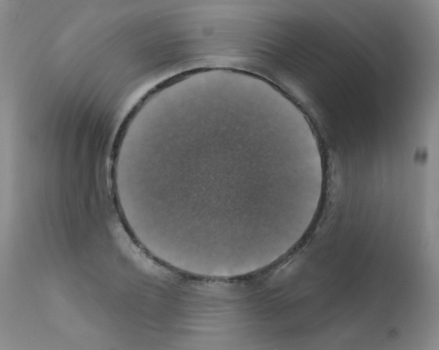 X0000111800932200909031226
