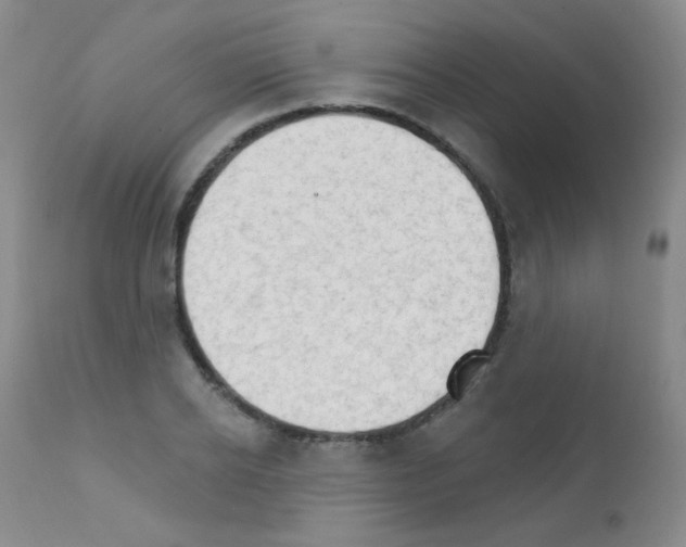 X0000111800934200909031226
