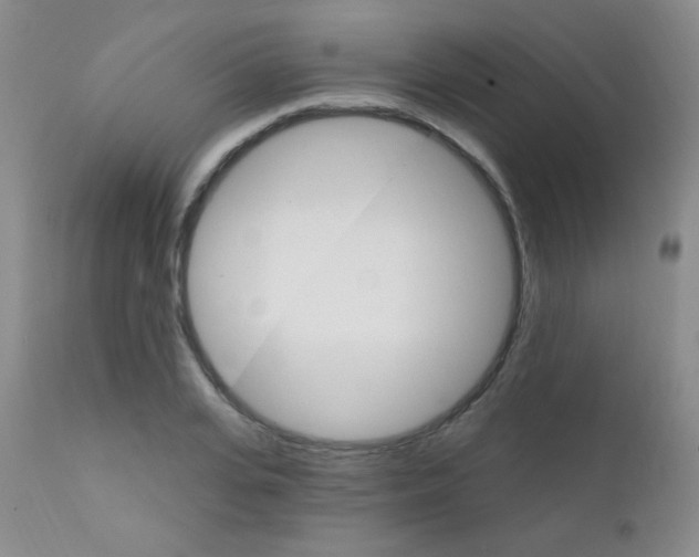 X0000111800935200909031226