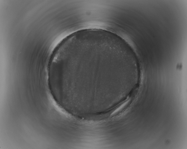 X0000111800936200909031226