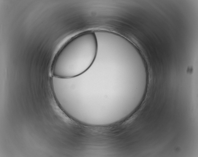 X0000111800940200909031226