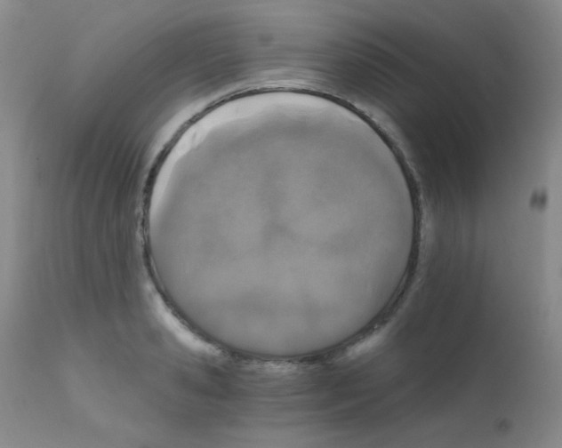 X0000111800941200909031226