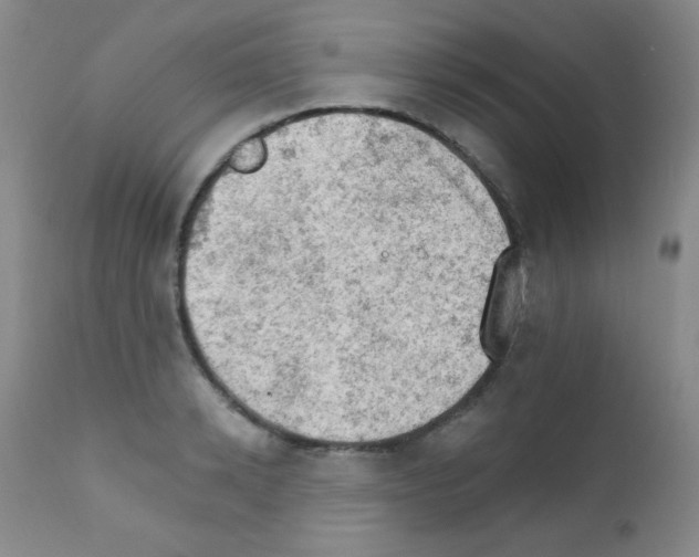X0000111800942200909031226