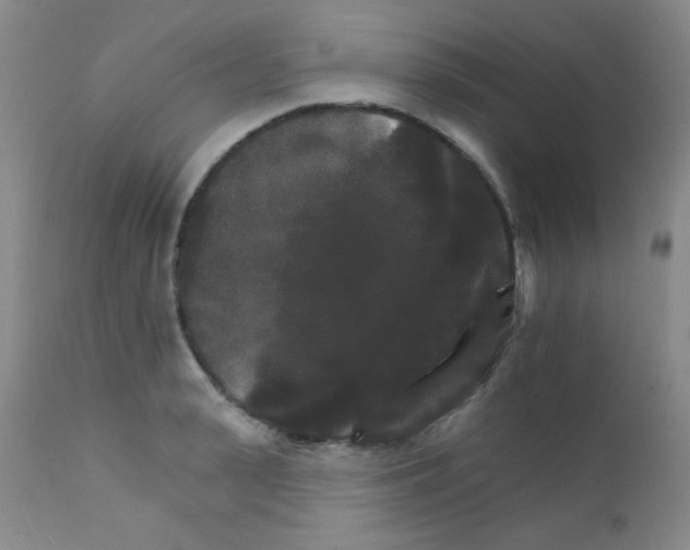 X0000111800943200909031226