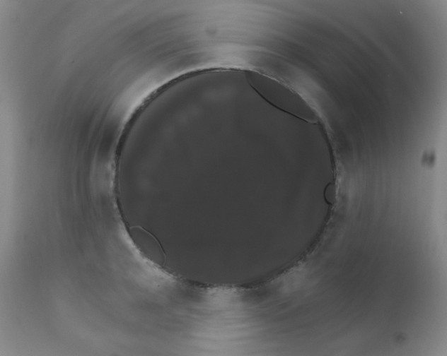 X0000111800944200909031226