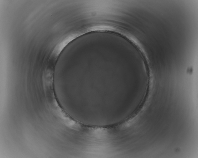 X0000111800945200909031226