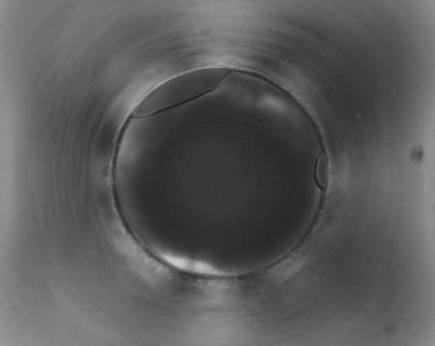 X0000111800946200909031226