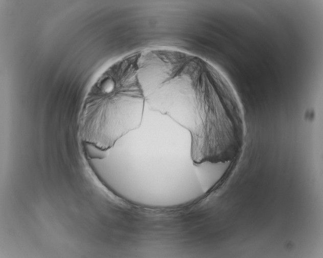X0000111800949200909031226