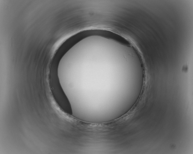 X0000111800952200909031226