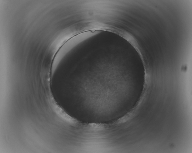 X0000111800954200909031226