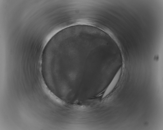 X0000111800955200909031226
