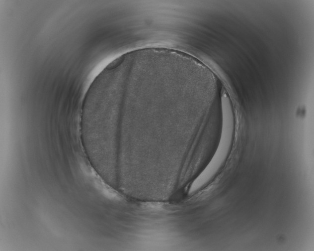X0000111800956200909031226