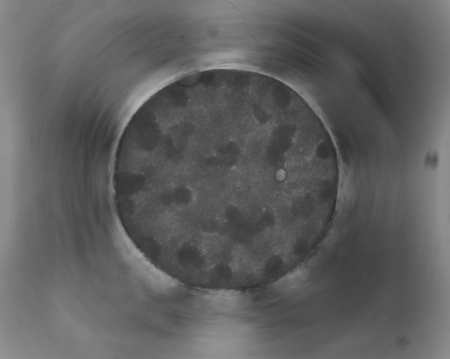 X0000111800957200909031226