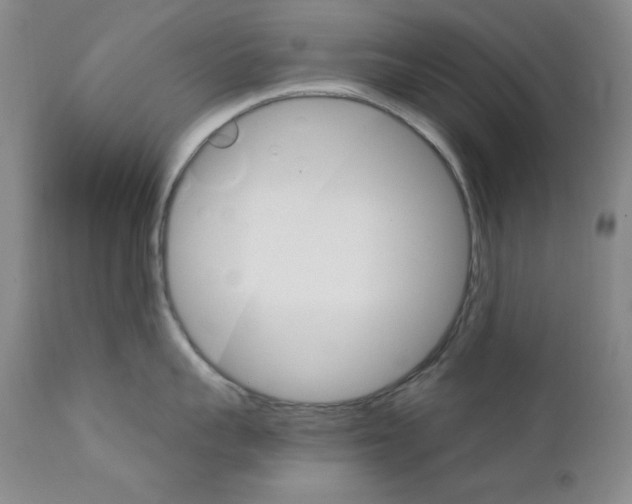X0000111800959200909031226