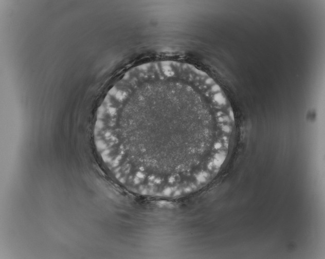 X0000111800961200909031226