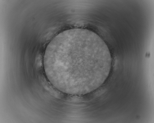 X0000111800962200909031226