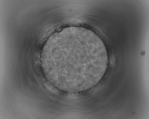 X0000111800964200909031225
