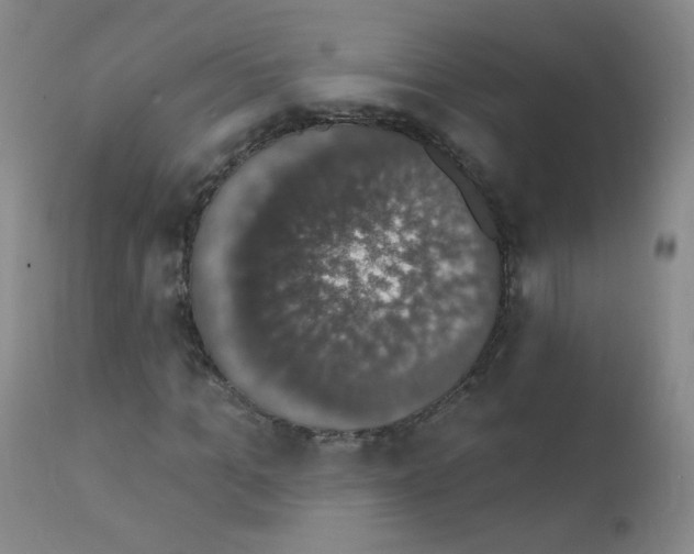 X0000111800965200909031225