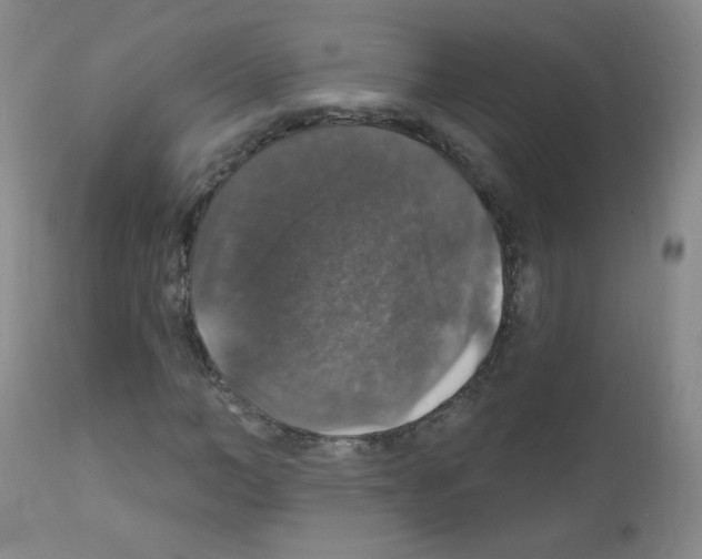 X0000111800966200909031225
