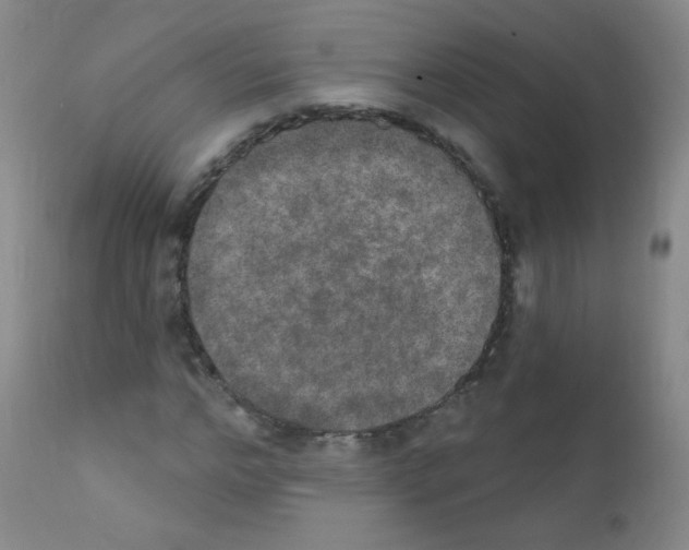 X0000111800968200909031225