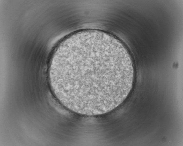 X0000111800971200909031225