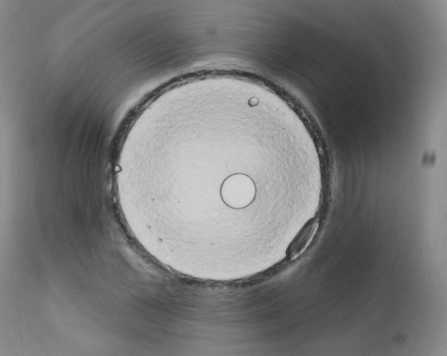 X0000111800973200909031225