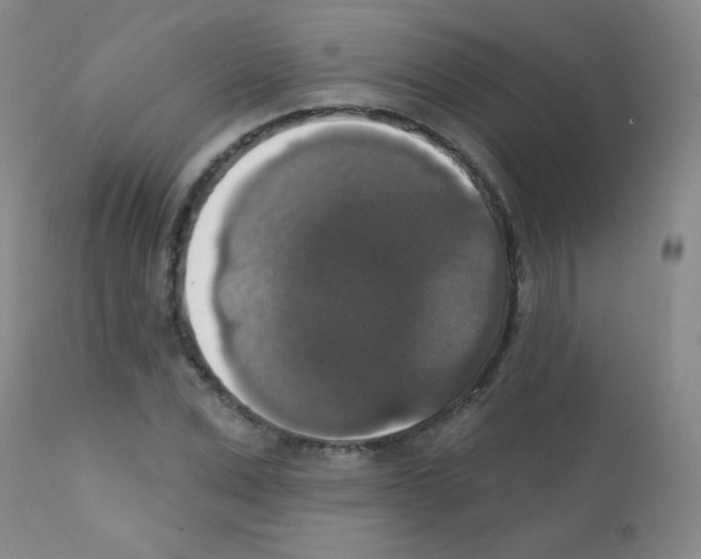 X0000111800975200909031225