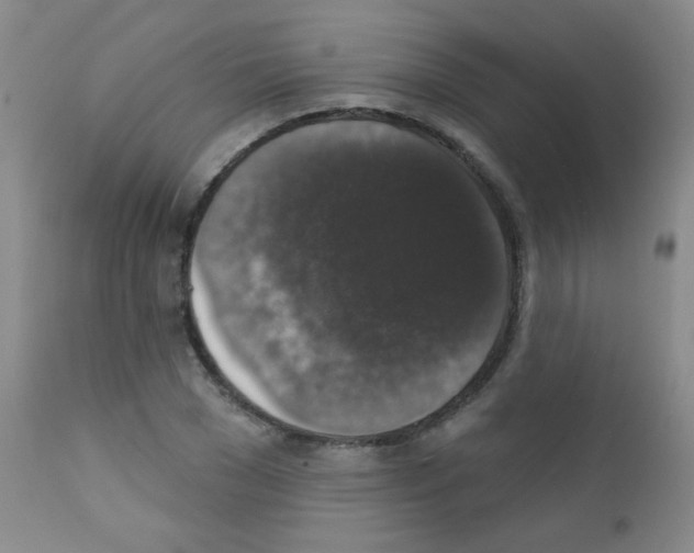 X0000111800977200909031225