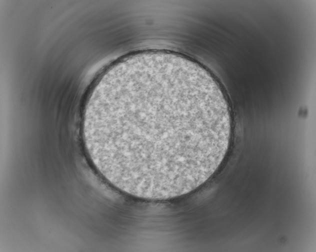 X0000111800979200909031225