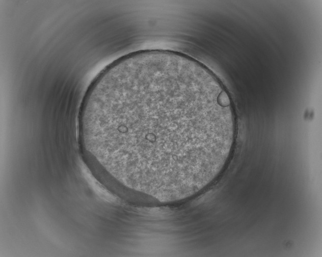 X0000111800980200909031225