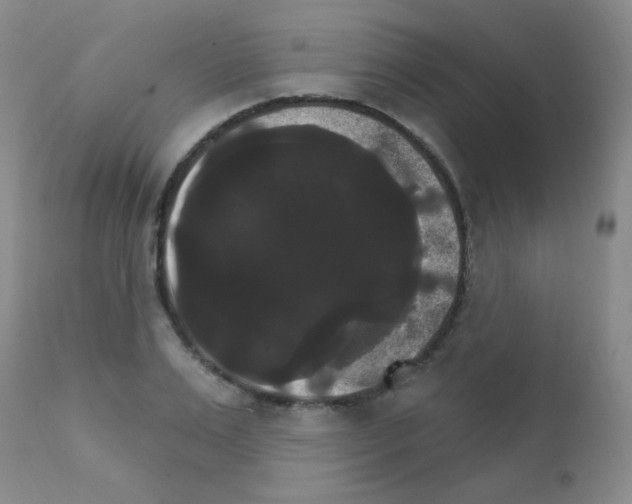 X0000111800983200909031225