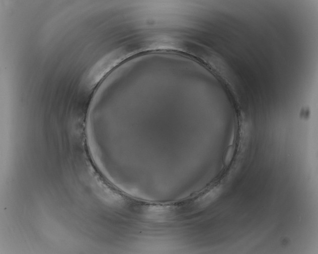 X0000111800985200909031225