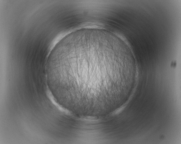 X0000111800986200909031225