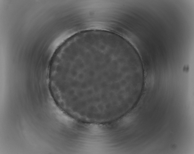 X0000111800987200909031225