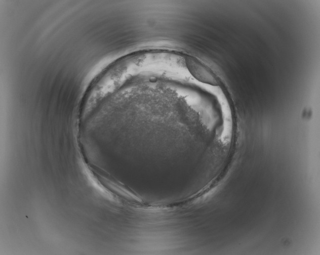X0000111800989200909031225