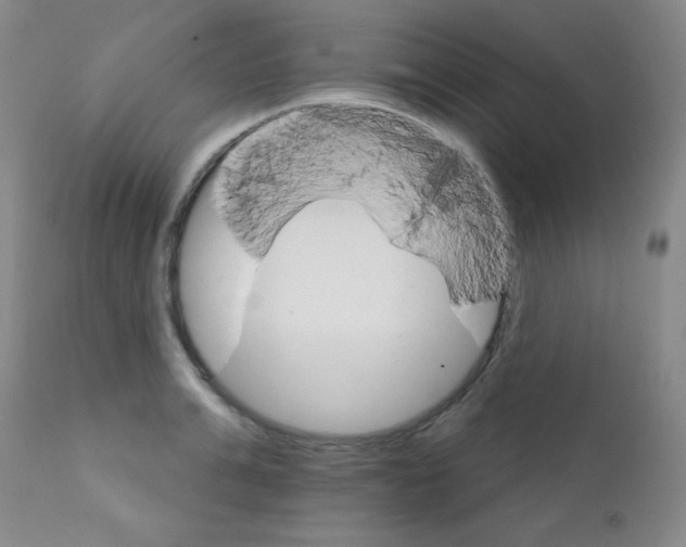 X0000111800991200909031225