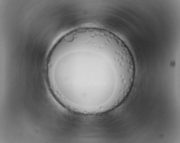 X0000111800992200909031225