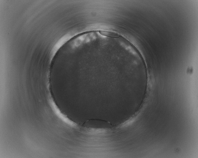 X0000111800997200909031225