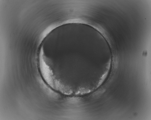 X0000111800998200909031225