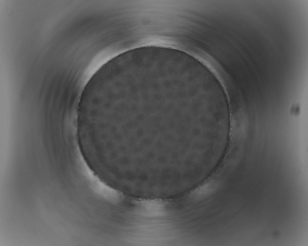 X0000111800999200909031225