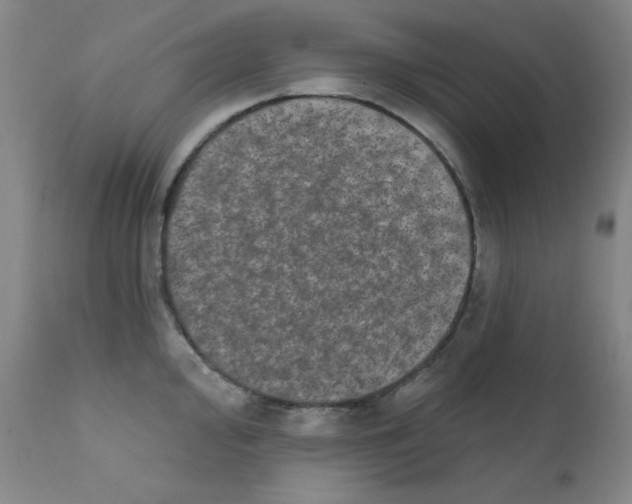 X0000111801000200909031225