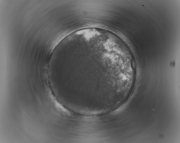 X0000111801001200909031225