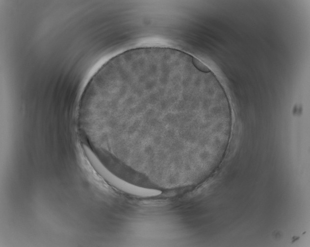 X0000111801008200909031225