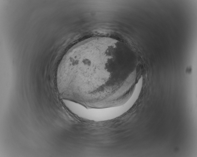 X0000111801009200909031224